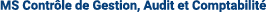 MS Contr le de Gestion, Audit et Comptabilit 