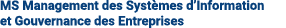 MS Management des Syst mes d’Information et Gouvernance des Entreprises