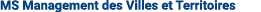 MS Management des Villes et Territoires