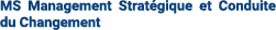MS Management Strat gique et Conduite du Changement