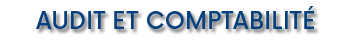 Audit et Comptabilit 