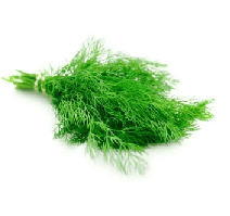 Aneth fra che. Catalogue carrefour avril 2023