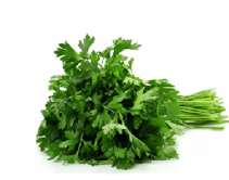 Persil plat. Catalogue carrefour avril 2023