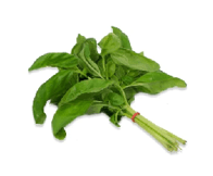 Basilic frais. Catalogue carrefour avril 2023