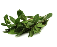 Laurier. Catalogue carrefour avril 2023