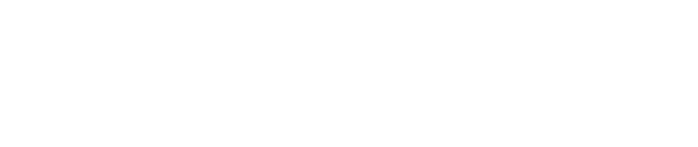 Sarah, Ma tre d’ uvre des Projets IT