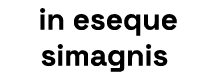  in eseque simagnis
