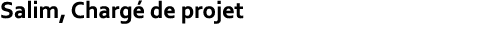 Salim, Charg de projet