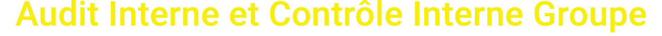 Audit Interne et Contr le Interne Groupe