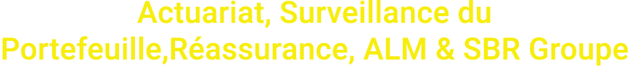 Actuariat, Surveillance du Portefeuille,R assurance, ALM & SBR Groupe