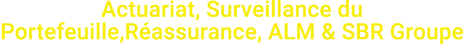 Actuariat, Surveillance du Portefeuille,R assurance, ALM & SBR Groupe