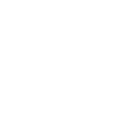 The Experience of ISCAE is that of an Institution That Has Never Ceased to Take up Challenges and to Renew itself For...